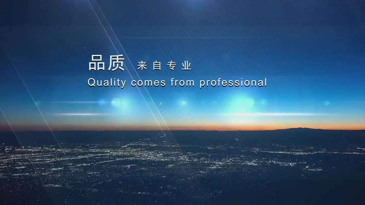 山东大顺集团