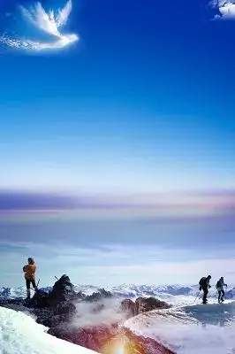 山东大顺集团