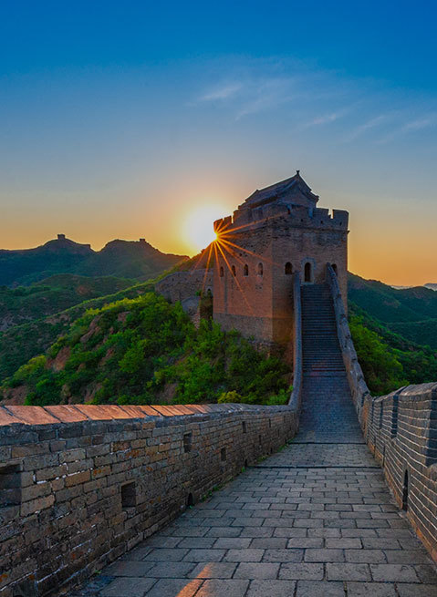 山东大顺集团