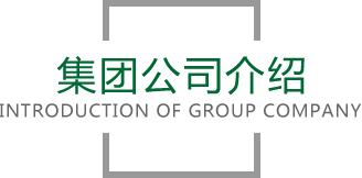 PA视讯集团